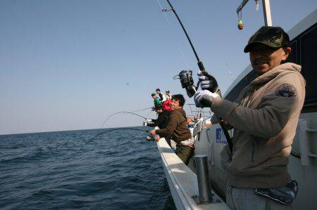オーシャンズ　京都 釣果