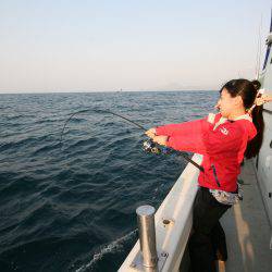 オーシャンズ　京都 釣果