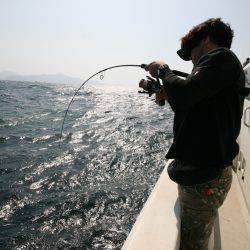 オーシャンズ　京都 釣果