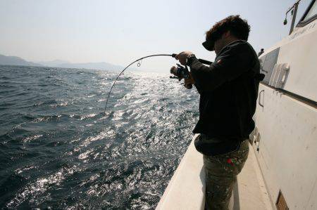 オーシャンズ　京都 釣果