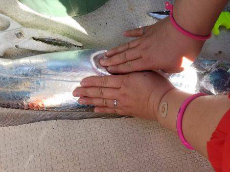 遊漁船 ニライカナイ 釣果