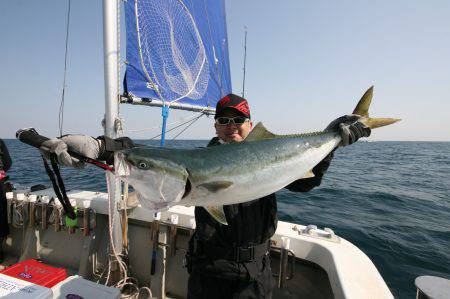 オーシャンズ　京都 釣果
