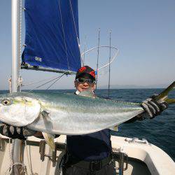 オーシャンズ　京都 釣果