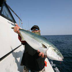 オーシャンズ　京都 釣果