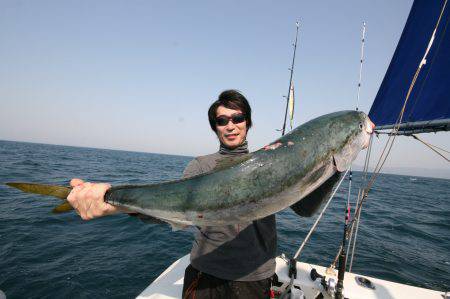 オーシャンズ　京都 釣果
