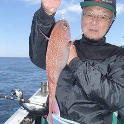 第二むつ漁丸 釣果