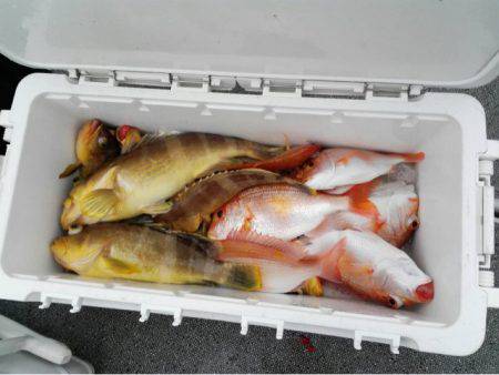 第二大福丸 釣果