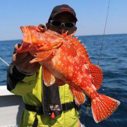 へいみつ丸 釣果