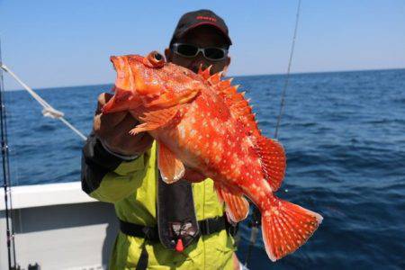 へいみつ丸 釣果