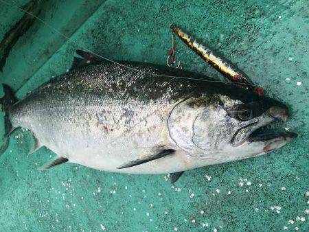 広進丸 釣果