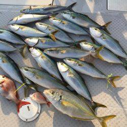 ミタチ丸 釣果