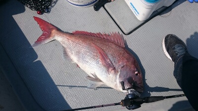 IDATEN（イダテン） 釣果