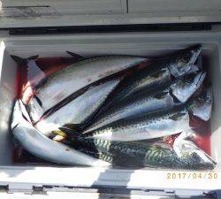 石川丸 釣果