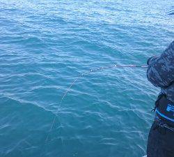 IDATEN（イダテン） 釣果