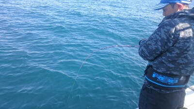 IDATEN（イダテン） 釣果