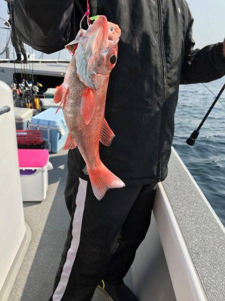 へいみつ丸 釣果