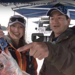 【2017.5.2 動画追加】2017急上昇トレンドワード、フラッシング鯛ラバ