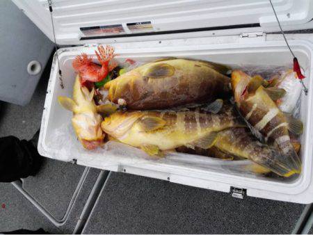 第二大福丸 釣果