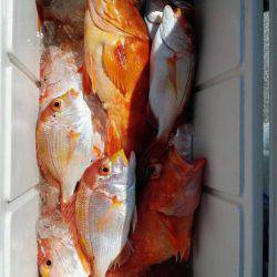 第二大福丸 釣果