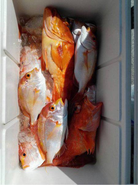 第二大福丸 釣果