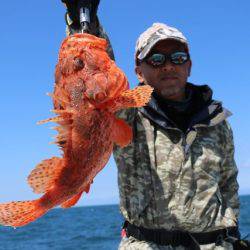 へいみつ丸 釣果