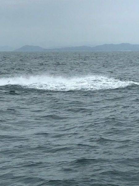 へいみつ丸 釣果