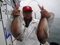 里輝丸 釣果
