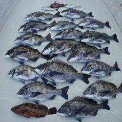 TOPGUN名古屋 釣果