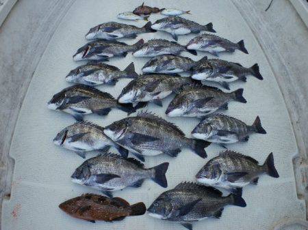 TOPGUN名古屋 釣果