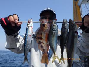 石川丸 釣果