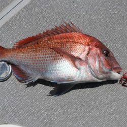 へいみつ丸 釣果