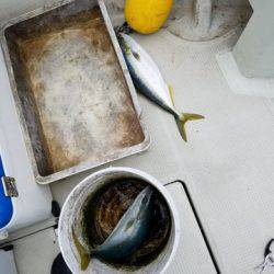 遊漁船 ニライカナイ 釣果