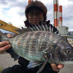 由良渡船 釣果