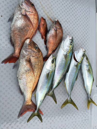 ミタチ丸 釣果