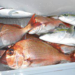 こうゆう丸 釣果