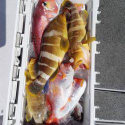 第二大福丸 釣果