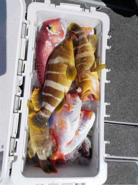 第二大福丸 釣果