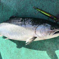広進丸 釣果