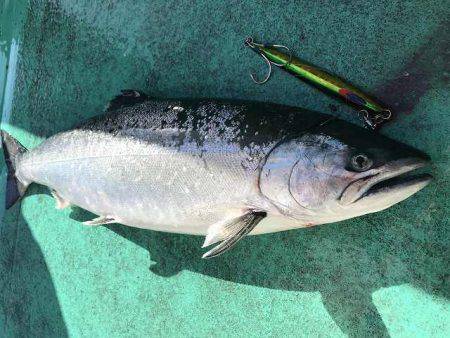 広進丸 釣果