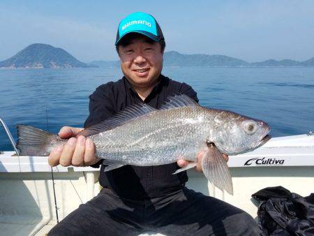 遊漁船　ニライカナイ 釣果