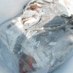 こうゆう丸 釣果