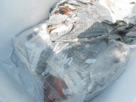 こうゆう丸 釣果