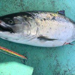 広進丸 釣果