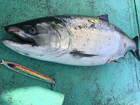 広進丸 釣果