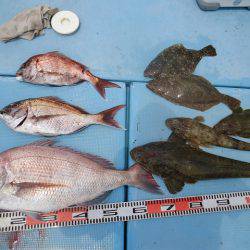 十八宝洋丸 釣果