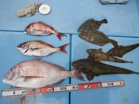 十八宝洋丸 釣果