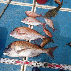 十八宝洋丸 釣果