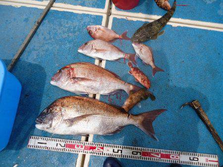 十八宝洋丸 釣果