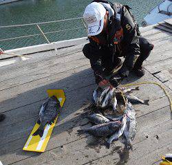 バラモン1号 釣果