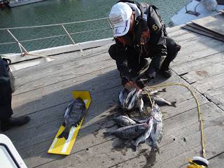 バラモン1号 釣果